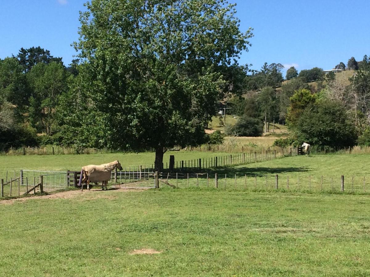 Bed and Breakfast Hunua Ranges Экстерьер фото